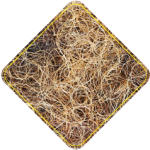SERTA Tech _Horse Hair